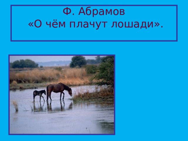 Ф. Абрамов  «О чём плачут лошади».   