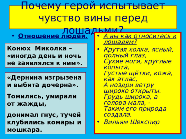 Почему герой испытывает чувство вины перед лошадьми? Отношение людей. А вы как относитесь к лошадям? Крутая холка, ясный, полный глаз,  Сухие ноги, круглые копыта,  Густые щётки, кожа, как атлас,  А ноздри ветру широко открыты.  Грудь широка, а голова мала, -  Таким его природа создала. Вильям Шекспир  Конюх Миколка – «иногда день и ночь не заявлялся к ним». «Дернина изгрызена и выбита дочерна». Томились, умирали от жажды, донимал гнус, тучей клубились комары и мошкара. 