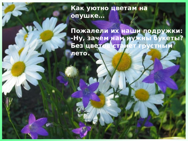 Как уютно цветам на опушке…  Пожалели их наши подружки:  -Ну, зачем нам нужны букеты?  Без цветов станет грустным лето. 