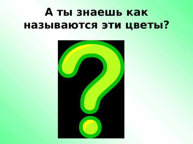 А ты знаешь как называются эти цветы? 