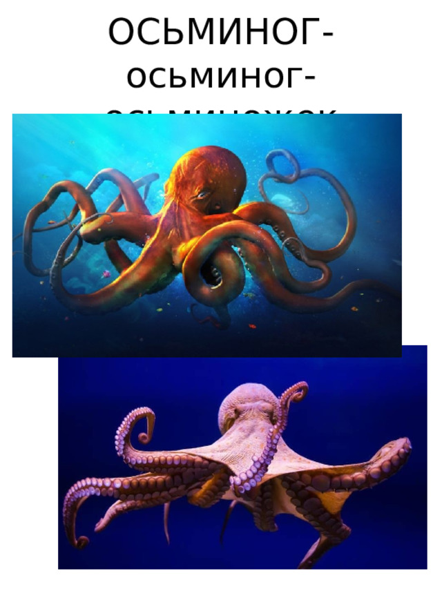ОСЬМИНОГ-осьминог-  осьминожек 
