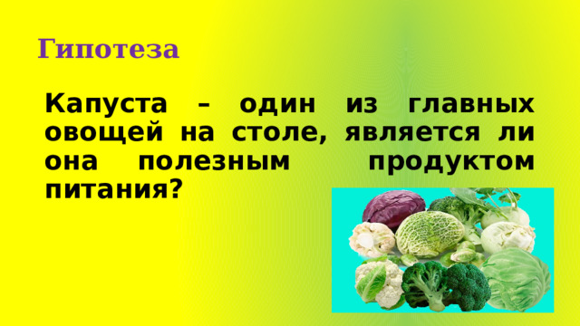 Гипотеза Капуста – один из главных овощей на столе, является ли она полезным продуктом питания? 