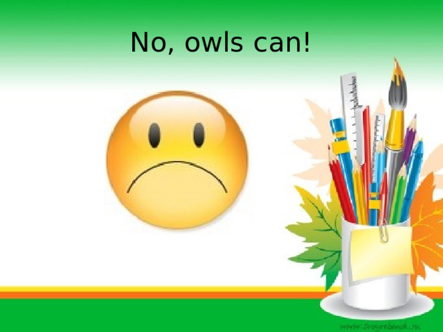No, owls can! 