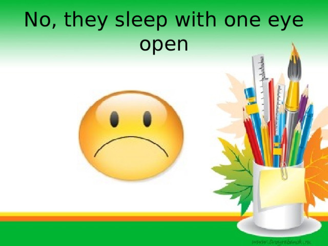 No, they sleep with one eye open 