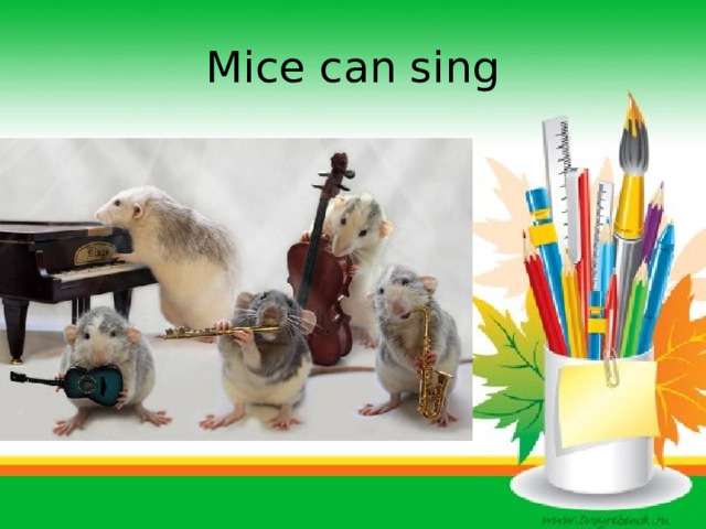 Mice can sing 
