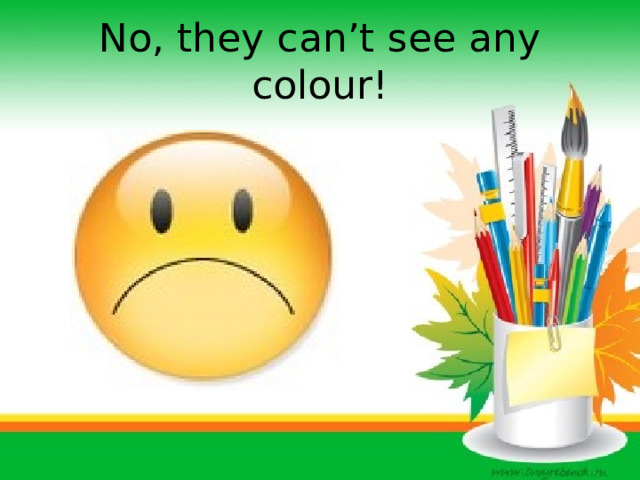 No, they can’t see any colour! 