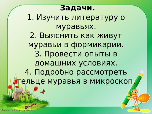  Задачи.  1. Изучить литературу о муравьях.  2. Выяснить как живут муравьи в формикарии.  3. Провести опыты в домашних условиях.  4. Подробно рассмотреть тельце муравья в микроскоп.   