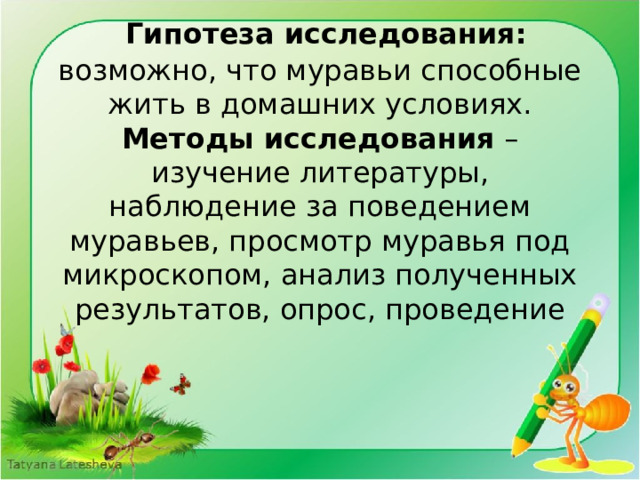  Гипотеза исследования: возможно, что муравьи способные жить в домашних условиях.  Методы исследования – изучение литературы, наблюдение за поведением муравьев, просмотр муравья под микроскопом, анализ полученных результатов, опрос, проведение 