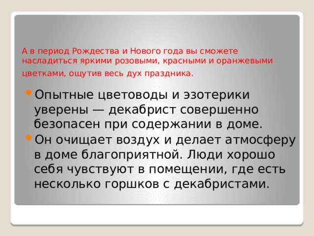 А в период Рождества и Нового года вы сможете насладиться яркими розовыми, красными и оранжевыми цветками, ощутив весь дух праздника.   Опытные цветоводы и эзотерики уверены — декабрист совершенно безопасен при содержании в доме. Он очищает воздух и делает атмосферу в доме благоприятной. Люди хорошо себя чувствуют в помещении, где есть несколько горшков с декабристами. 