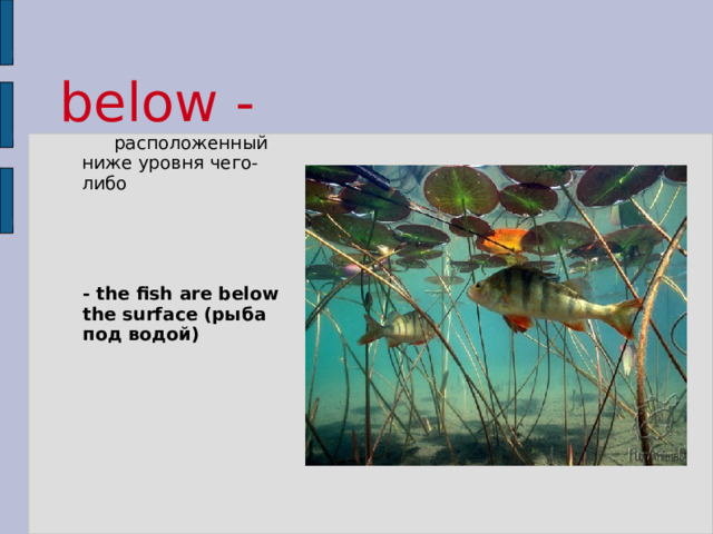 below -  расположенный ниже уровня чего-либо - the fish are below the surface (рыба под водой) 