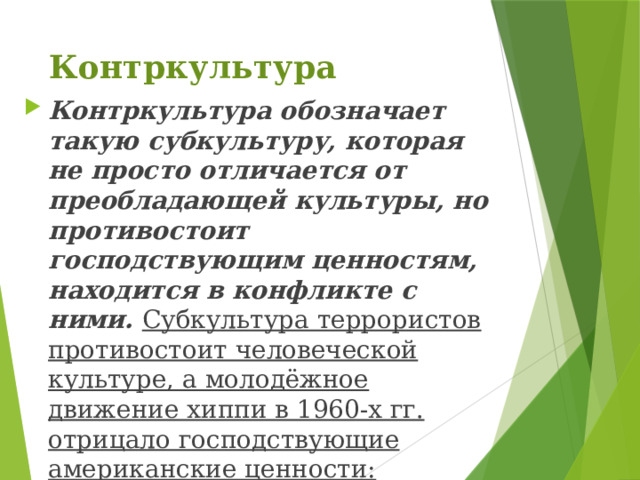 Контркультура Контркультура обозначает такую субкультуру, которая не просто отличается от преобладающей культуры, но противостоит господствующим ценностям, находится в конфликте с ними. Субкультура террористов противостоит человеческой культуре, а молодёжное движение хиппи в 1960-х гг. отрицало господствующие американские ценности: усердный труд, материальный успех, конформизм, политическую лояльность. 