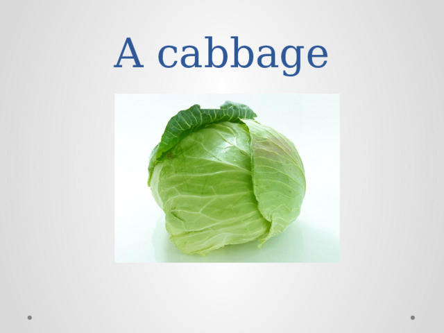 A cabbage 