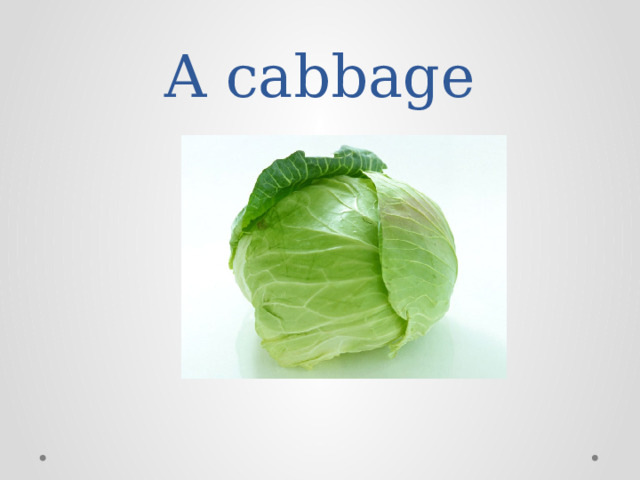 A cabbage 