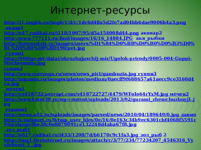 Интернет-ресурсы http://i1.imgbb.ru/img6/1/d/c/1dc6d48a5d2fe7ad04bb6dae9006b4a3.png аквар1 http://s47.radikal.ru/i118/1007/95/d5a154008d44.png  акввар2 http://www.777111.ru/find/images/16/16_14884.JPG  акв_рыбки http://kotomatrix.ru/images/users/%D1%84%D0%BB%D0%B0%D0%B3%D0%BC%D0%B0%D0%BD190/pet.jpg гуппи1 http://900igr.net/datai/okruzhajuschij-mir/Ugolok-prirody/0005-004-Guppi-Mechenostsy.jpg гуппи2 http://www.zveryuga.ru/news/news_pict/gambuzia.jpg гуппи3 http://aquasss.ru/images/photos/medium/0aecff9f688657a61aecc9ce3160d4ca.jpg мечен1 http://cs418722.userapi.com/v418722727/4479/WFoIo64rYxM.jpg мечен2 http://www.klass39.ru/wp-content/uploads/2013/02/gurami_zhemchuzhnyj1.jpg гурами1 http://news.a42.ru/uploads/images/parsed/news/2010/04/189649/0.jpg  данио http://s.imhonet.ru/0/tmp_user_files/0e/16/0e163c34b9ec6301cbf4068f5591c90a/xlarge/fbe38c0e8879091ce132248d4aba67f8.jpg зол_рыб1 http://s017.radikal.ru/i433/1208/7d/b6170c9c1fa3.jpg  зол_рыб  2 http://img1.liveinternet.ru/images/attach/c/3/77/234/77234207_4546316_Vyalehvost_1_.jpg вуалех1 http://img1.liveinternet.ru/images/attach/c/6/93/698/93698219_guppi.jpg вуалех2 http://e.eka-mama.ru/upload/forum/upload/9e5/9e59fe68a7083aee5c78d3e2c96243f0  комета http://www.edu54.ru/sites/default/files/images/2010/12/7407e0f4ed9618678b405ca1dd506021d52cd423.preview.jpg львиногол1 http://aqua-74.ucoz.ru/karp/2/lvinogol.jpg  львиногол 2 http://akva-world.ru/upload/articles/22_December_2011/zolotaia-riba_04_16_41_14.jpg телескоп1 http://www.aquafanat.com.ua/uploads/photos/carassius-auratus/thumb/big-aquafanat.com.ua-calico-telescop.jpg  телескоп 2  
