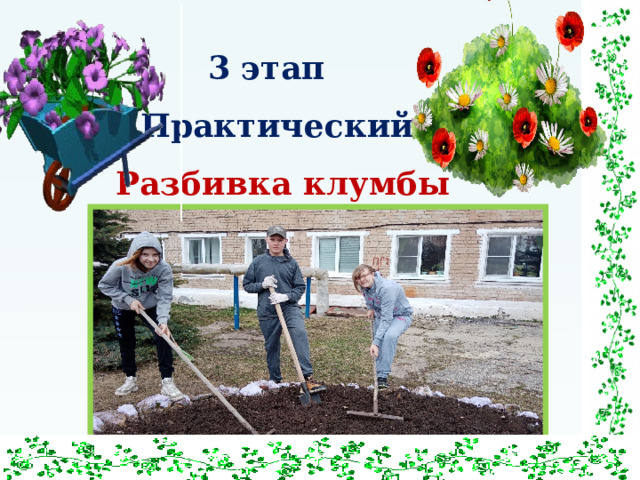 3 этап Практический  Разбивка клумбы 