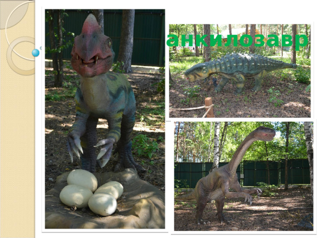  анкилозавр 