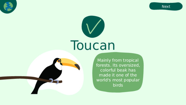 Next Toucan Mainly from tropical forests. Its oversized, colorful beak has made it one of the world's most popular birds 
