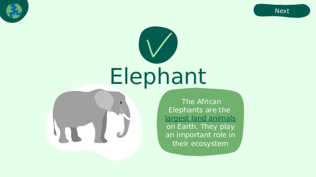 Next Elephant  The African Elephants are the largest land animals on Earth. They play an important role in their ecosystem 