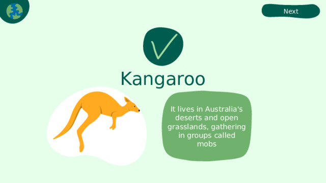 Next Kangaroo It lives in Australia's deserts and open grasslands, gathering in groups called mobs 