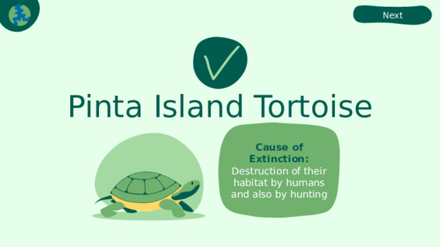 Next Pinta Island Tortoise Cause of Extinction:  Destruction of their habitat by humans and also by hunting 