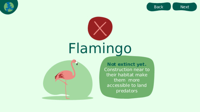 Back Next Flamingo Not extinct yet.  Construction near to their habitat make them more accessible to land predators 