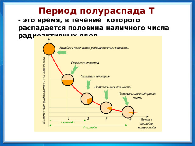 Период полураспада Т - это время, в течение которого распадается половина наличного числа радиоактивных ядер  