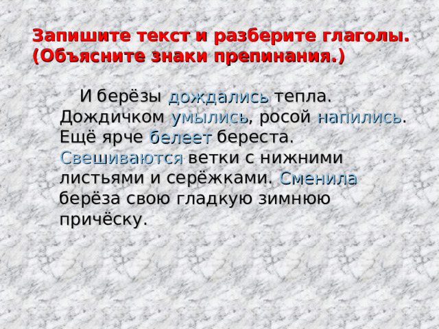 Запишите текст и разберите глаголы.  (Объясните знаки препинания.)  И берёзы дождались тепла. Дождичком умылись , росой напились . Ещё ярче белеет береста. Свешиваются ветки с нижними листьями и серёжками. Сменила берёза свою гладкую зимнюю причёску. 