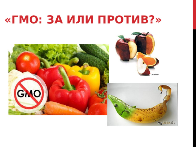 «ГМО: ЗА ИЛИ ПРОТИВ?»   