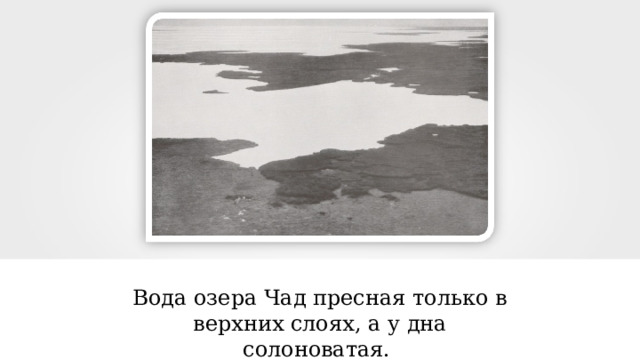 Вода озера Чад пресная только в верхних слоях, а у дна солоноватая. 