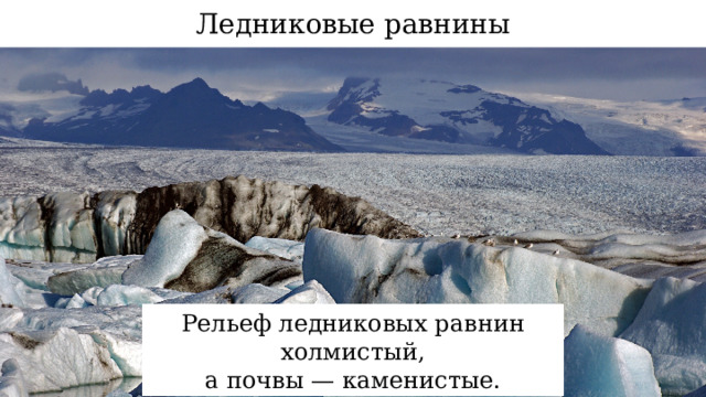 Ледниковые равнины Рельеф ледниковых равнин холмистый,  а почвы — каменистые. 14 