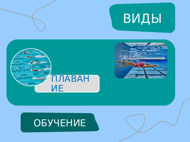 ВИДЫ ПЛАВАНИЕ ОБУЧЕНИЕ 