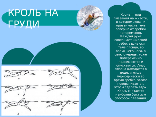 КРОЛЬ НА ГРУДИ Кроль — вид плавания на животе, в котором левая и правая часть тела совершают гребки попеременно. Каждая рука совершает широкий гребок вдоль оси тела пловца, во время чего ноги, в свою очередь, тоже попеременно поднимаются и опускаются. Лицо пловца находится в воде, и лишь периодически во время гребка голова поворачивается, чтобы сделать вдох. Кроль считается наиболее быстрым способом плавания. 