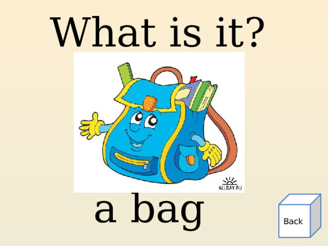 What is it? a bag Back 