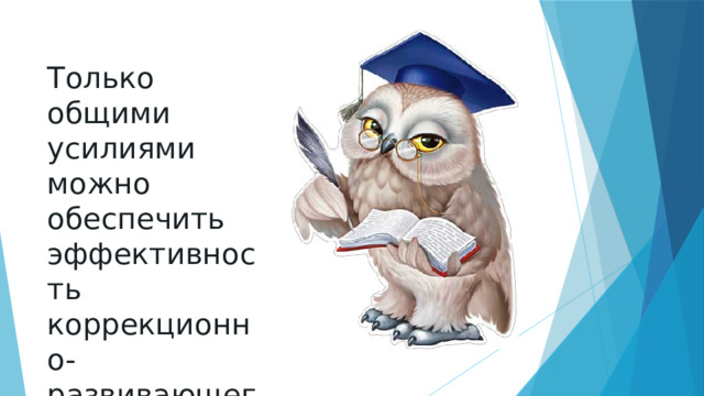 Только общими усилиями можно обеспечить эффективность коррекционно-развивающего обучения.   