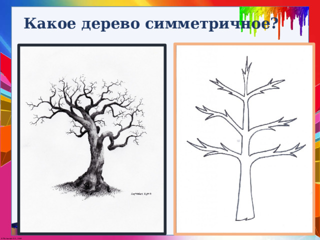 Какое дерево симметричное? 
