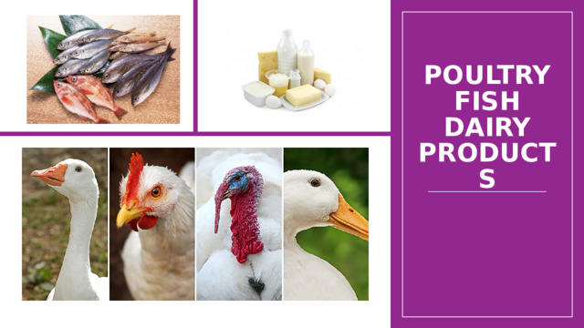 Poultry  Fish  Dairy products 