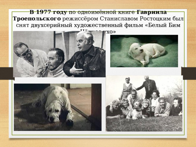 В 1977 году по одноимённой книге Гавриила Троепольского режиссёром Станиславом Ростоцким был  снят двухсерийный художественный фильм «Белый Бим Чёрное ухо» 