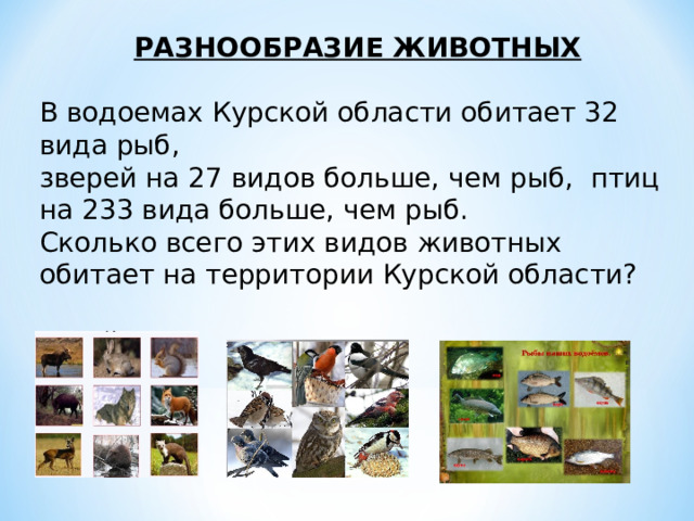 РАЗНООБРАЗИЕ ЖИВОТНЫХ  В водоемах Курской области обитает 32 вида рыб, зверей на 27 видов больше, чем рыб, птиц на 233 вида больше, чем рыб. Сколько всего этих видов животных обитает на территории Курской области? 