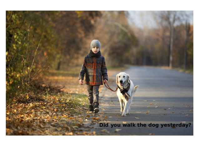Did you walk the dog yesterday? 