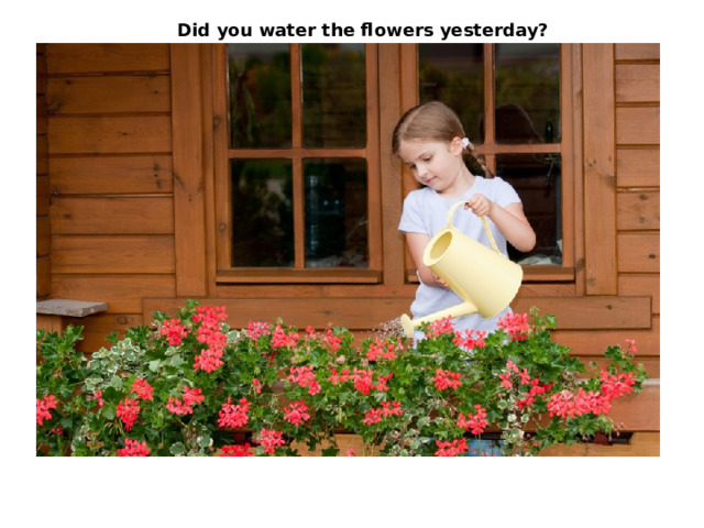 Did you water the flowers yesterday? 