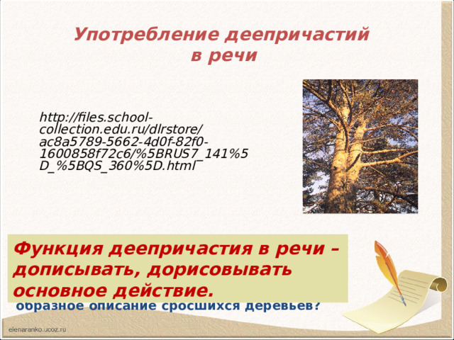 Употребление деепричастий  в речи http://files.school-collection.edu.ru/dlrstore/ac8a5789-5662-4d0f-82f0-1600858f72c6/%5BRUS7_141%5D_%5BQS_360%5D.html  Функция деепричастия в речи – дописывать, дорисовывать основное действие. Прочитайте отрывок из сказки-были М.М.Пришвина. Какими средствами языка создается яркое, образное описание сросшихся деревьев? 