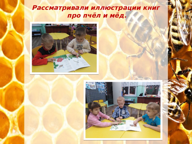 Рассматривали иллюстрации книг про пчёл и мёд. 