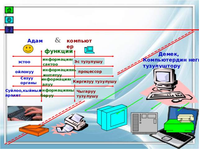 & Адам компьютер функции  Демек, Компьютердин негизги тузулуштору  информацияны  сактоо Эс тузулушу эстоо  информацияны  иштетуу процессор ойлонуу  информацияны  алуу Сезуу органы Киргизуу тузулушу  информацияны  беруу Суйлоо,кыймыл аракет  Чыгаруу тузулушу 