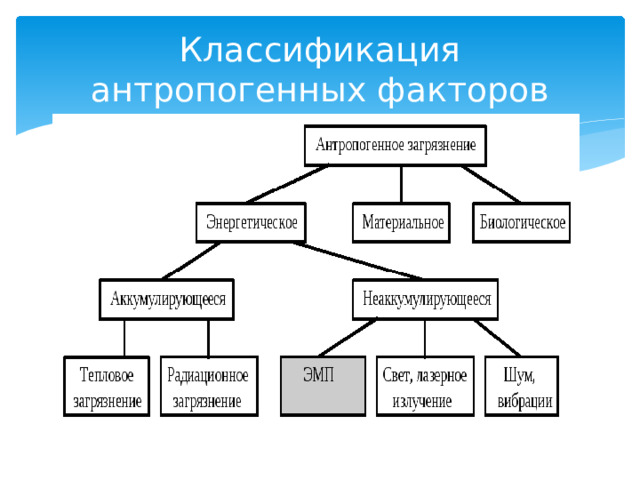 Классификация антропогенных факторов 