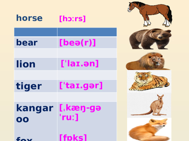 horse [hɔːrs] bear [beə(r)] lion  [ˈlaɪ.ən] tiger [ˈtaɪ.ɡər] kangaroo [ˌkæŋ-ɡəˈruː]  fox [fɒks] 