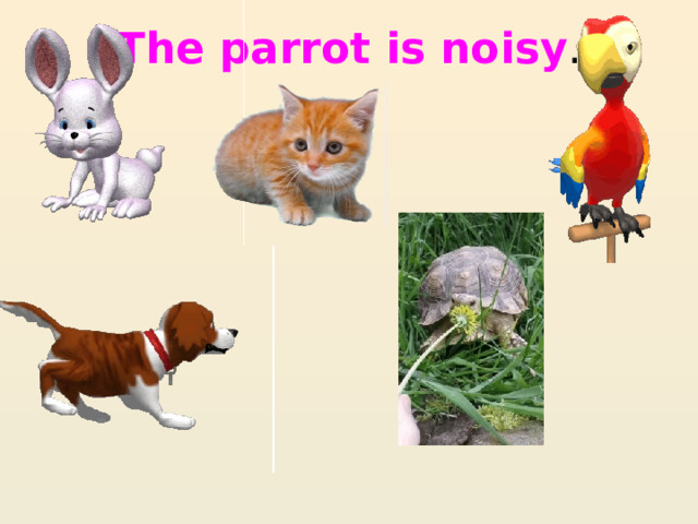 The parrot is noisy . 