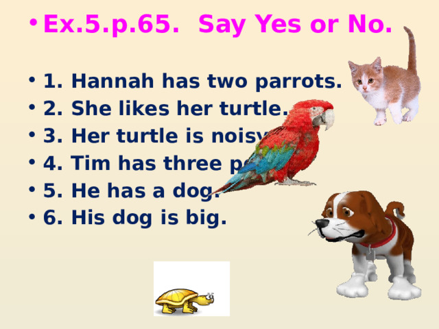 Ех.5.р.65. Say Yes or No. 1. Hannah has two parrots. 2. She likes her turtle. 3. Her turtle is noisy. 4. Tim has three pets. 5. He has a dog. 6. His dog is big. 