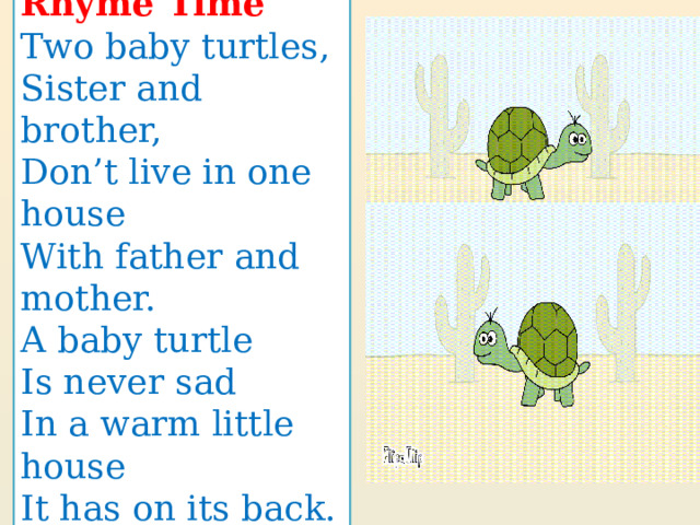 Rhyme Time Two baby turtles, Sister and brother, Don’t live in one house With father and mother. A baby turtle Is never sad In a warm little house It has on its back. 