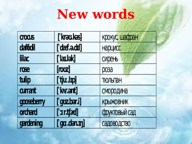 New words The aims of the lesson   - to give pupils much more information about the World  - to develop their memory reading speaking skills, enlarge their vocabulary with the new words   