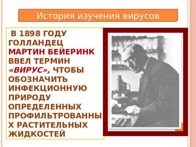 История изучения вирусов  В 1898 году голландец Мартин Бейеринк ввел термин «вирус», чтобы обозначить инфекционную природу определенных профильтрованных растительных жидкостей 